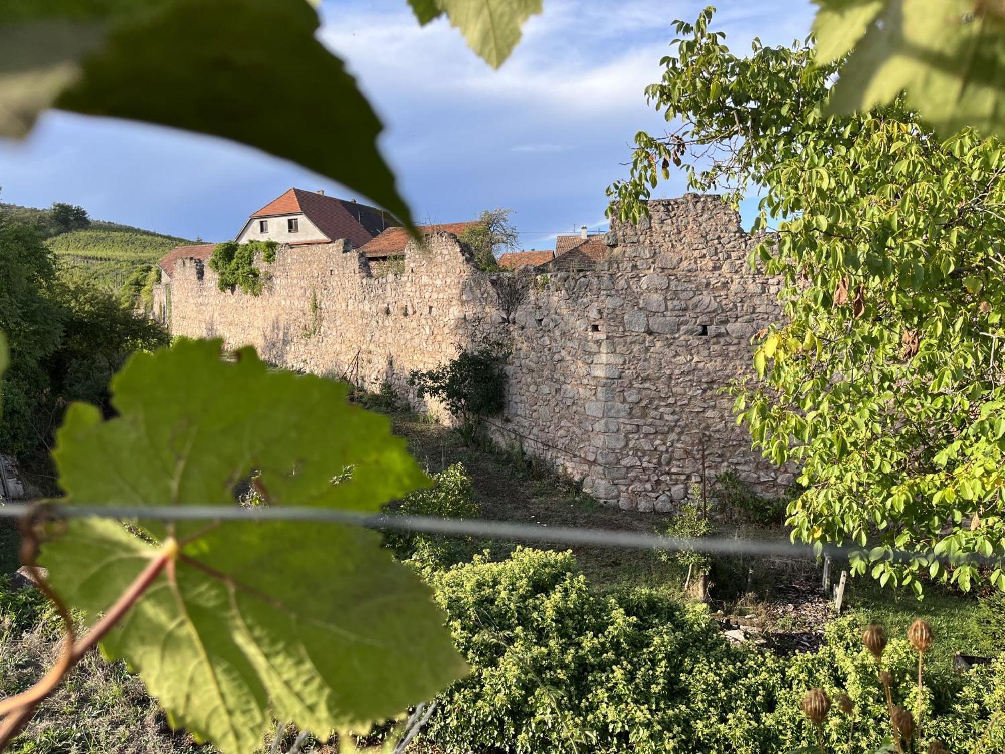 ホテル Le Refuge Du Rempart Dambach 部屋 写真